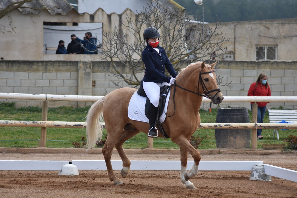 La Doma Clásica trae de vuelta la competición